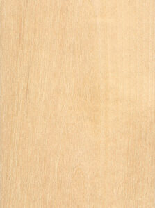 Rotary Cut Select White Birch Architectural Grade